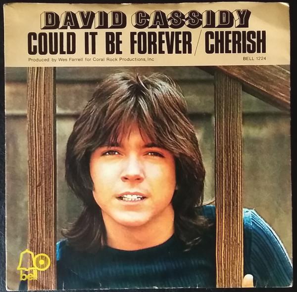 David Cassidy - Could It Be Forever / Cherish