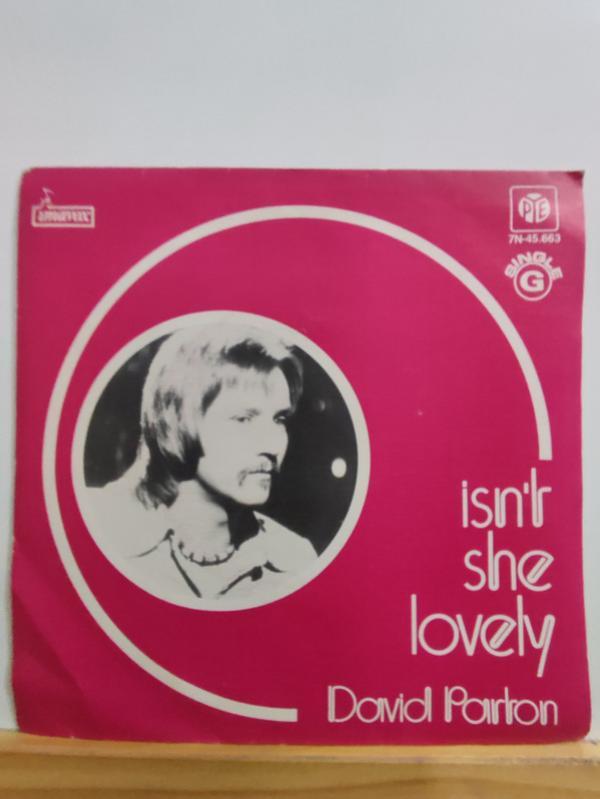 David Parton - Isn't She Lovely
