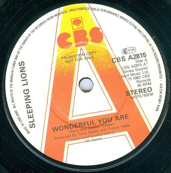 Sleeping Lions (2) - Wonderful You Are