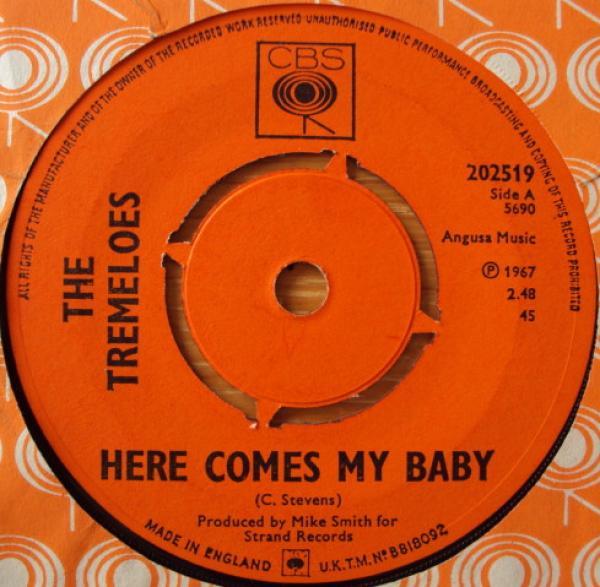 The Tremeloes - Here Comes My Baby