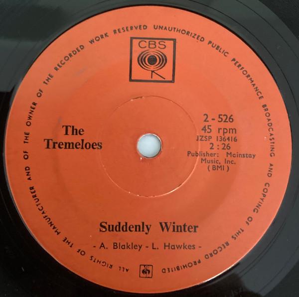 The Tremeloes - Suddenly Winter