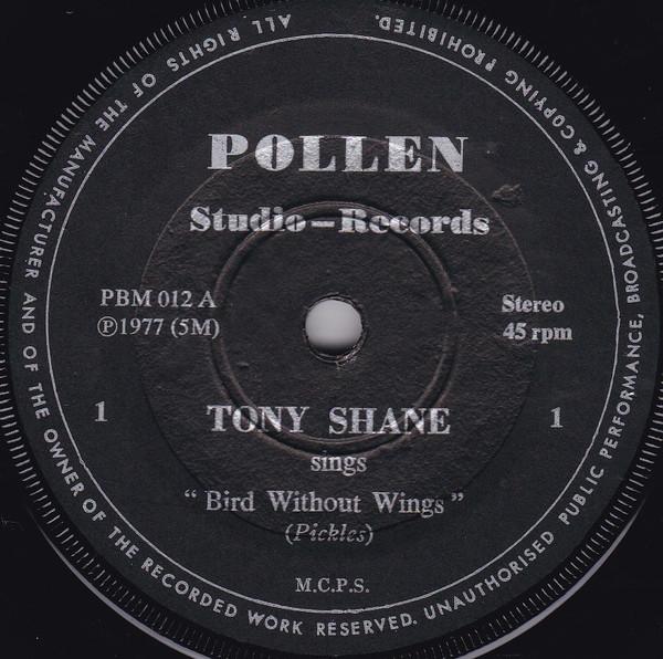 Tony Shane (2) - Bird Without Wings